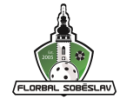 Banes Florbal Soběslav zelení